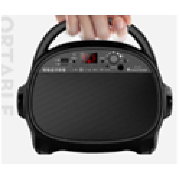 Bluetooth Speaker With Mic Slot